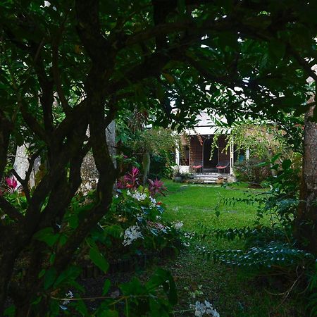 Le Medinilla Bed and Breakfast Bras-Panon Exteriör bild